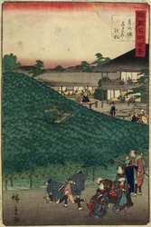 Sosna Naniwaya w Sakai w prowincji Senshu_, wrzesień 1859 r.